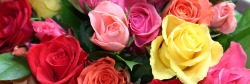 Blumen