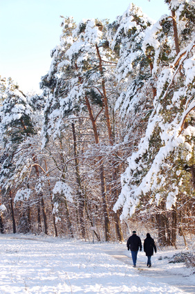 geführte Winterwanderungen