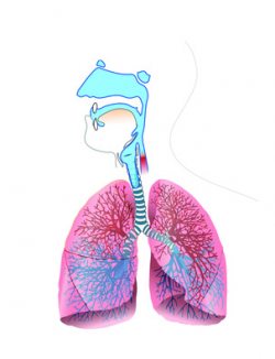 Inhalation Atemwegstherapie mit Inhalationen