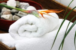 Wellness Wellness in Bad W�rishofen