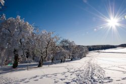 Winterlandschaft Winterzauber im Allgäu