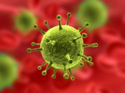 Krebs-Therapie Angebote zur begleitenden Krebs-Therapie in Bad Wörishofen