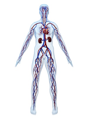Arteriosklerose