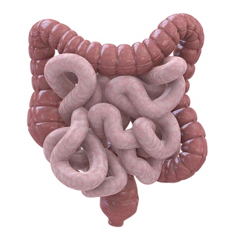 Colon-Hydro-Therapie