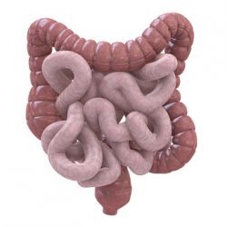 Colon-Hydro-Therapie Darmreinigung