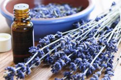 Aromatherapie Erleben Sie die Therapie mit wohltuenden Düften und Aromen