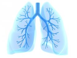 Behandlung der Bronchitis Befreien Sie Ihre Atemwege