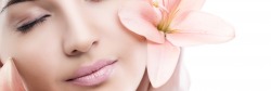 header_ausschnitt_1594x536
