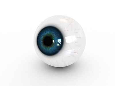 Retinale Gefäßanalyse zur Abschätzung des mikrövaskulären Schlaganfallrisikos