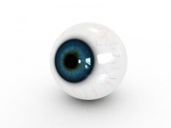 Retinale Gefäßanalyse zur Abschätzung des mikrövaskulären Schlaganfallrisikos