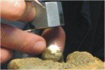 Goldbaur Goldbaur