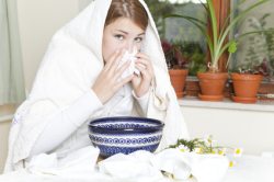 Chronische Sinusitis Behandlung der chronischen Sinusitis mit Kneipp