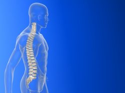 Spondylopathie Spondylopathien - chron.-entzündliche rheumatische Erkrankung