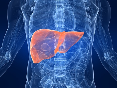 Hepatitis Hepatitis