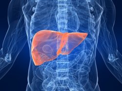 Hepatitis Behandlung der chronischen Hepatitis mit der Kneipptherapie