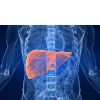 Hepatitis