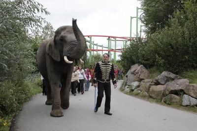 zirkus1 zirkus1