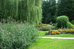 Kurpark 1894 noch zu Lebzeiten Sebastian Kneipps wurde der Kurpark mit Ruhebänken und Spazierwegen angelegt.