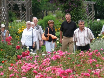 Rosengarten Rosengarten