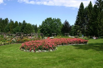 rosengarten2 rosengarten2