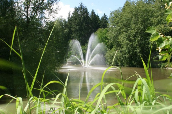 Wasserfontäne Wasserfontäne