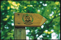Kneippwaldschild Hinweisschild f�r den Ausgangspunkt Kneipp-Waldweg und Trimm-Dich-Pfad