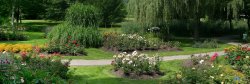 Kurpark 2 headerbild Kurpark