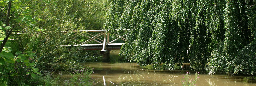 Kurpark headerbild