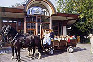 Kinderferienprogramm Kutschfahrt Kinderferienprogramm Kutschfahrt