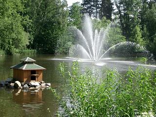 Weiher Weiher