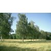 Natur