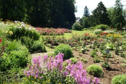 Aromagarten Aromagarten im Kurpark