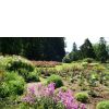 Aromagarten