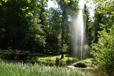 Weiher Weiher