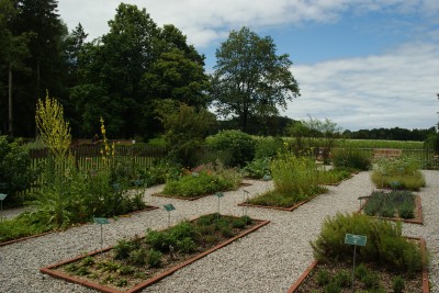 Kräutergarten