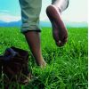 Wandern