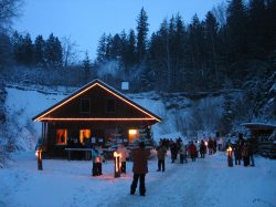 Waldweihnacht