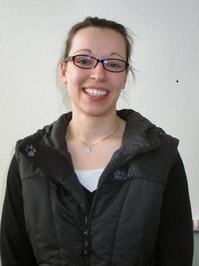 Eichler Eichler