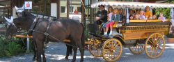 kutscheferienprogramm_ausschnitt_1585x571
