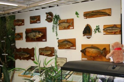 Fischmuseum