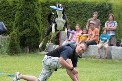 Hundefrisbee