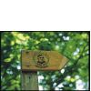 Kneipp-Waldwe...