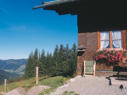 Mittelalpe