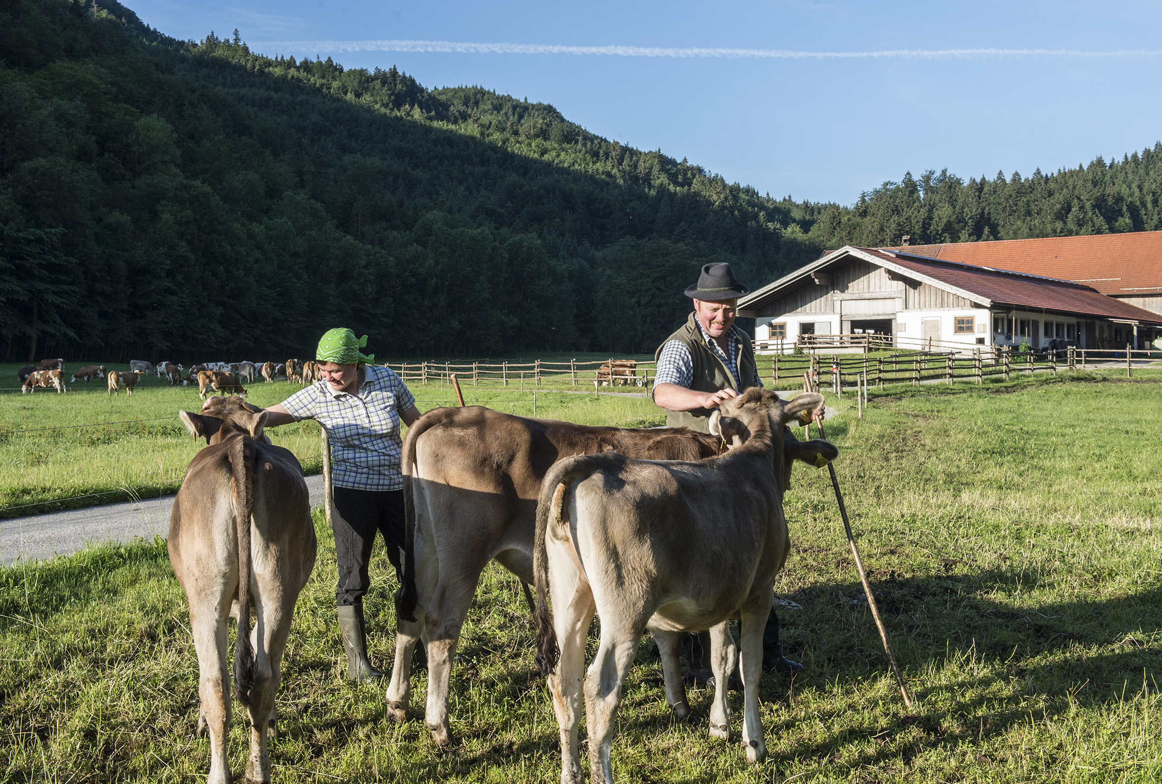Nahe dem Zugspitzgebiet