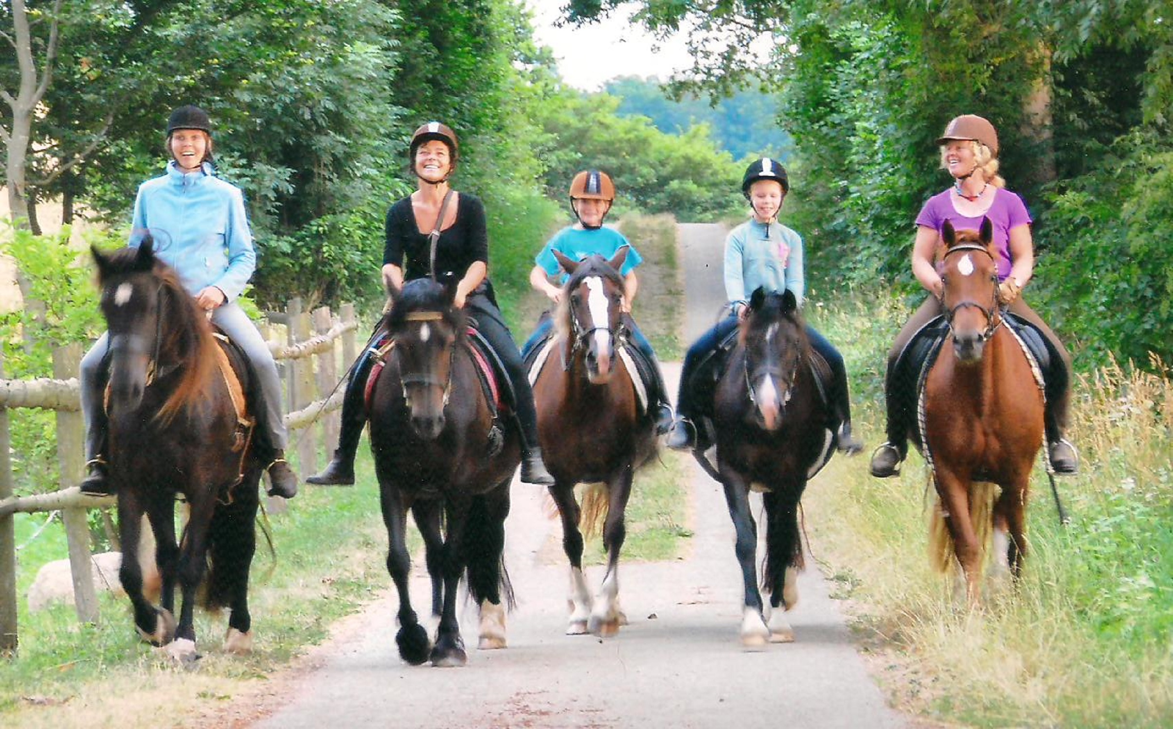 Reiten-Ostsee-Enstpannung-Natur