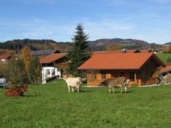 Bioferienhof Beim Sima Rieden am Forggensee