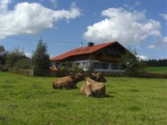Landhaus Klöck Roßhaupten Landhaus Klöck Roßhaupten