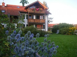 Ferienhof Scharpf Stötten Ferienhof Scharpf Stötten