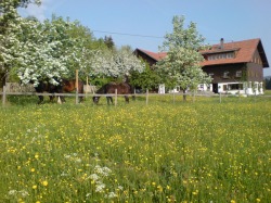 Buchenberg Buchenberg
