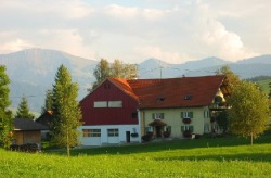 Ferienhof Waltner Stiefenhofen